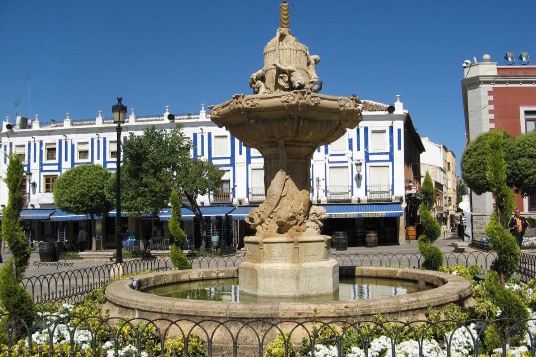 Photo of Others in Valdepenas