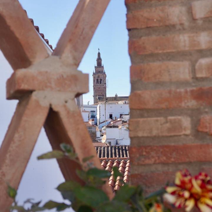 Photo of Others in Jerez de los Caballeros