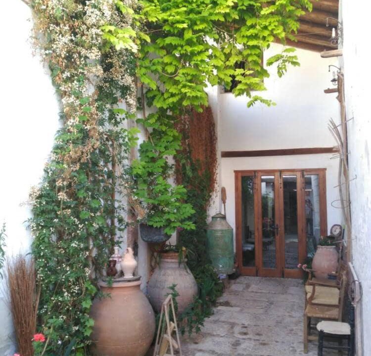 Photo of Others in Villarrubia de Santiago