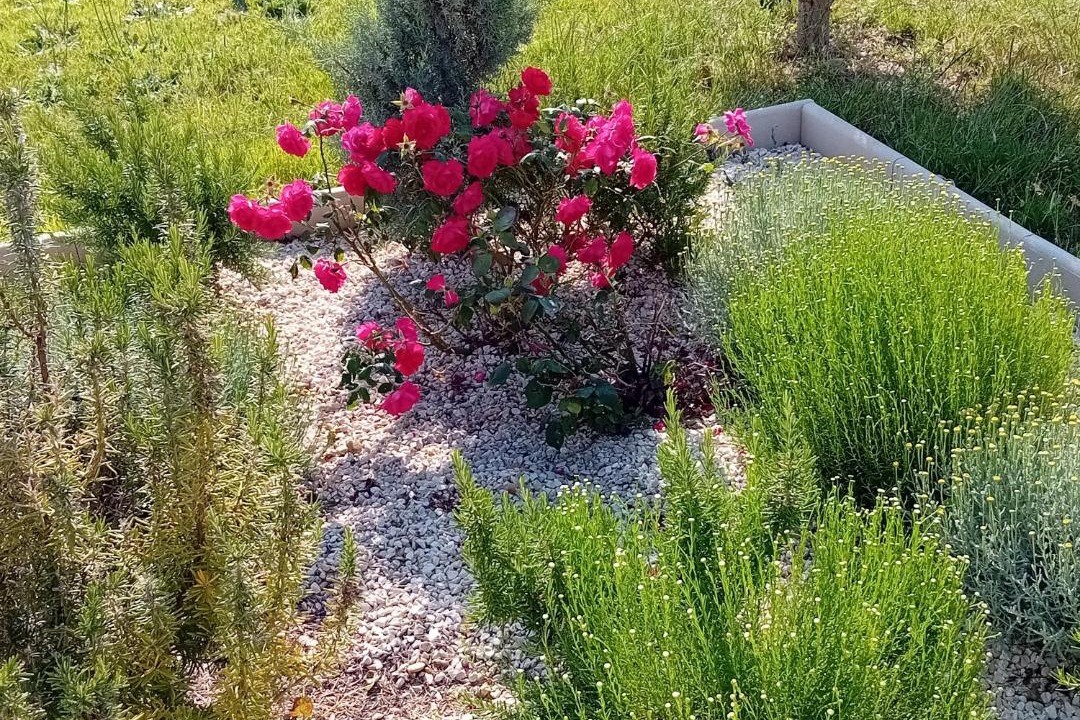 Photo of Outdoor in Arles