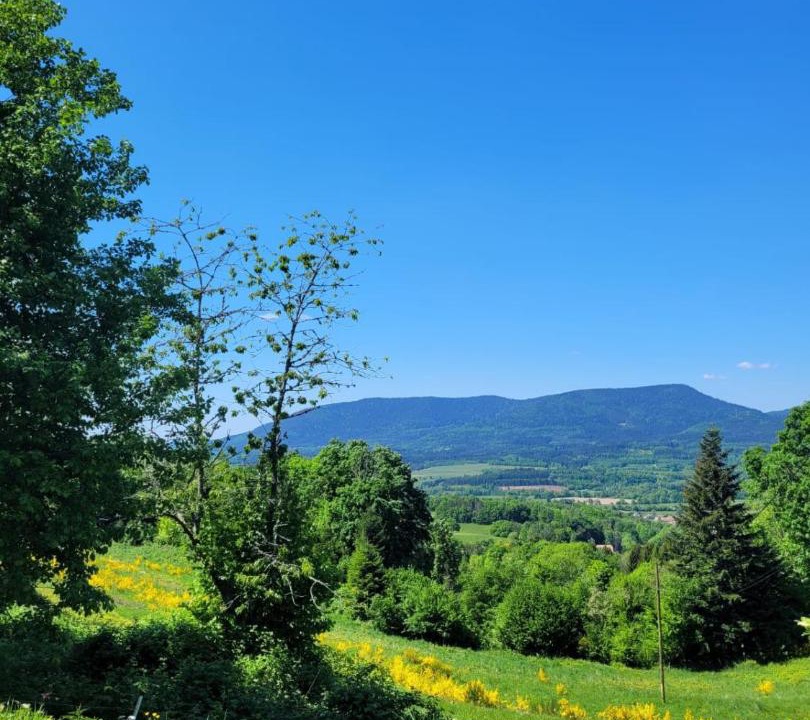 Photo of Others in Bertrimoutier
