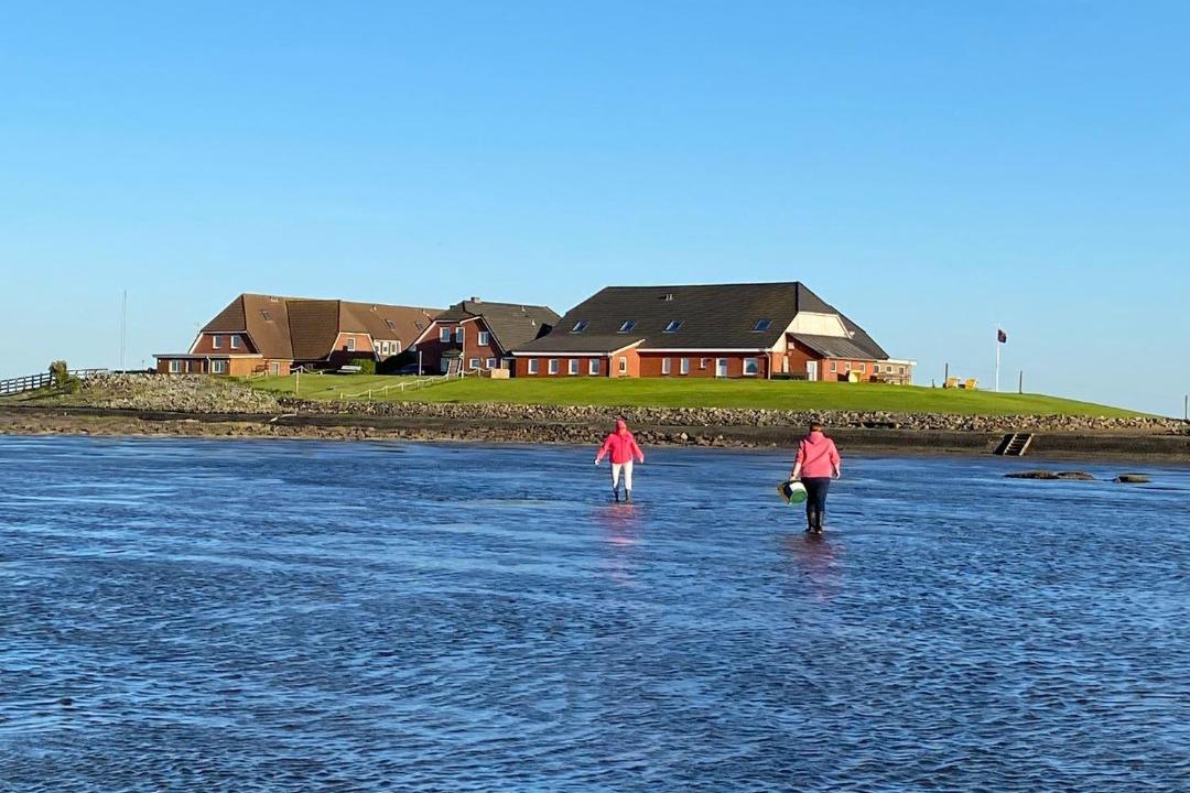 Photo of Others in Hallig Langeneß
