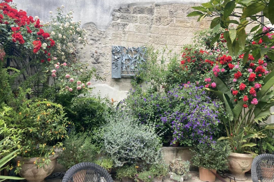 Photo of Others in Avignon City Centre