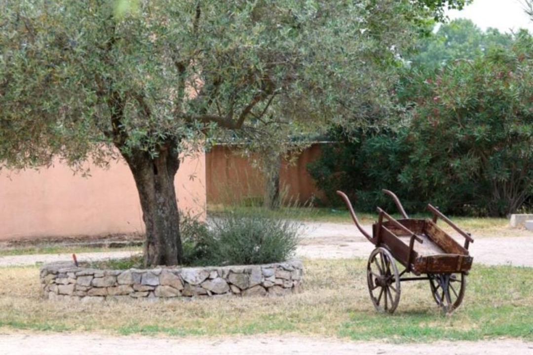 Photo of Others in Bouillargues