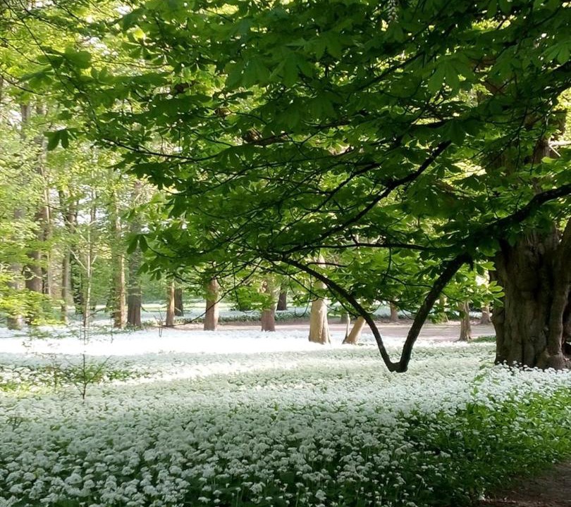 Photo of Others in Lancken-Granitz