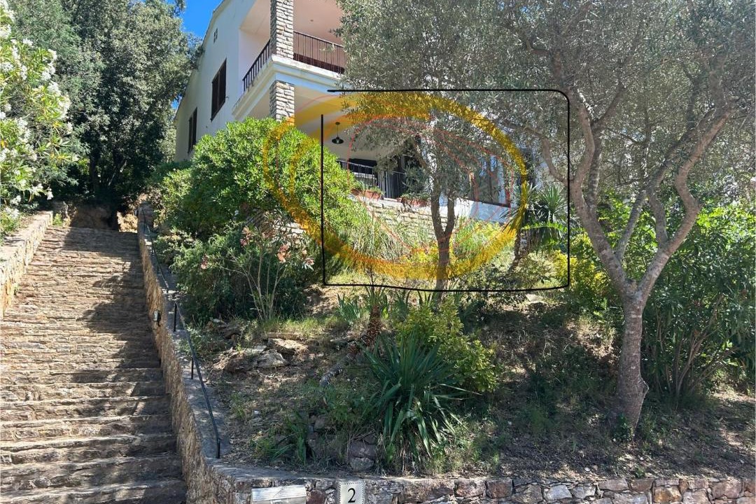 Photo of Others in Sa Riera