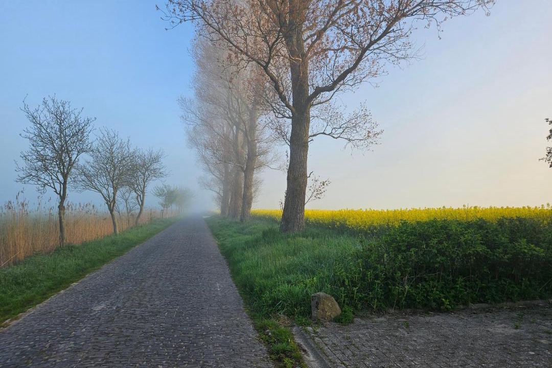 Photo of Others in Horum