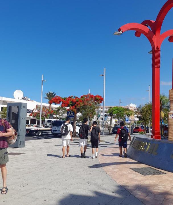 Photo of Others in Costa Adeje