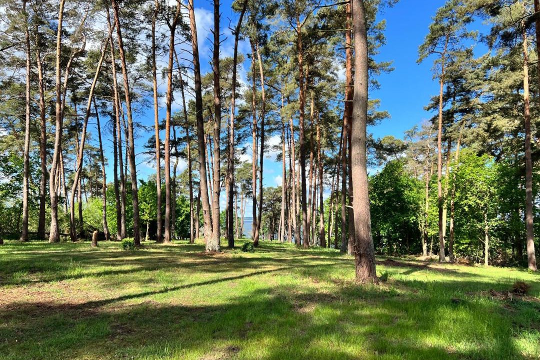 Photo of Outdoor in Luetow