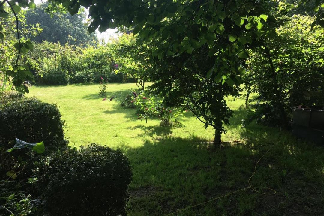 Photo of Others in Oberdorla