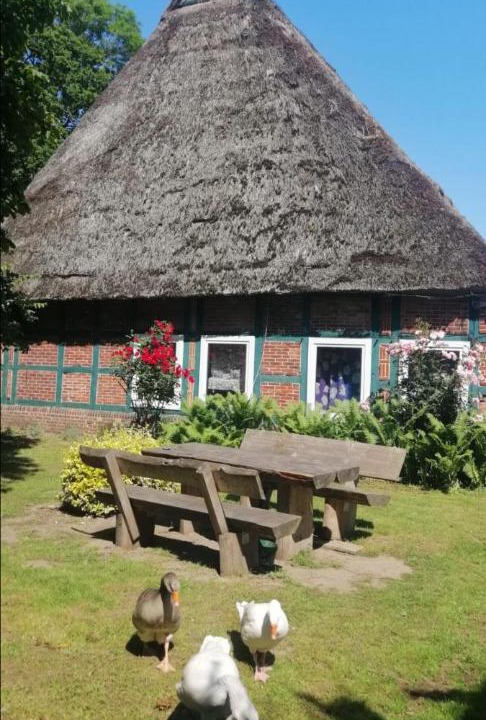 Photo of Others in Bad Bederkesa