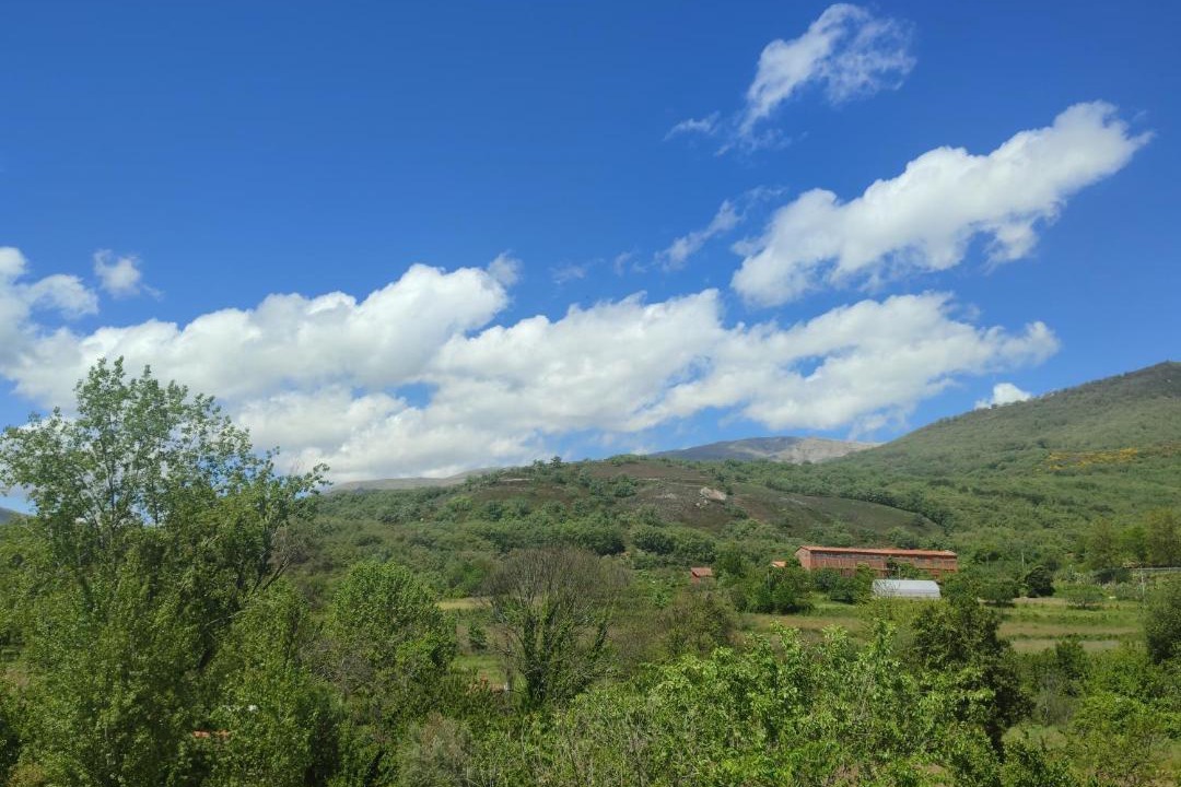 Photo of Others in Jarandilla de la Vera