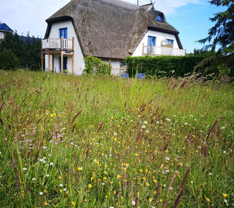 Photo of Others in Lancken-Granitz