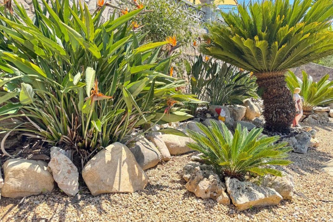 Photo of Outdoor in Vidreres