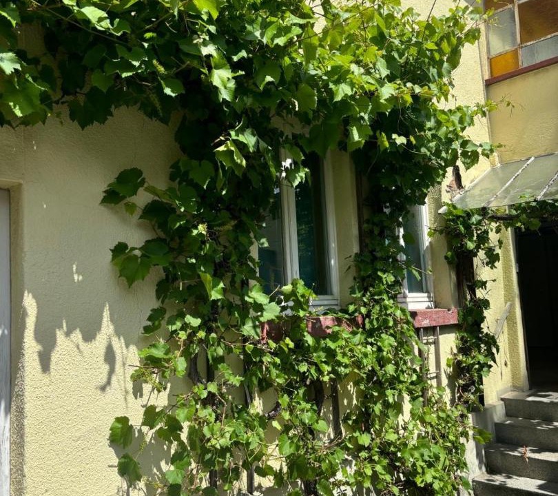 Photo of Others in Kelkheim