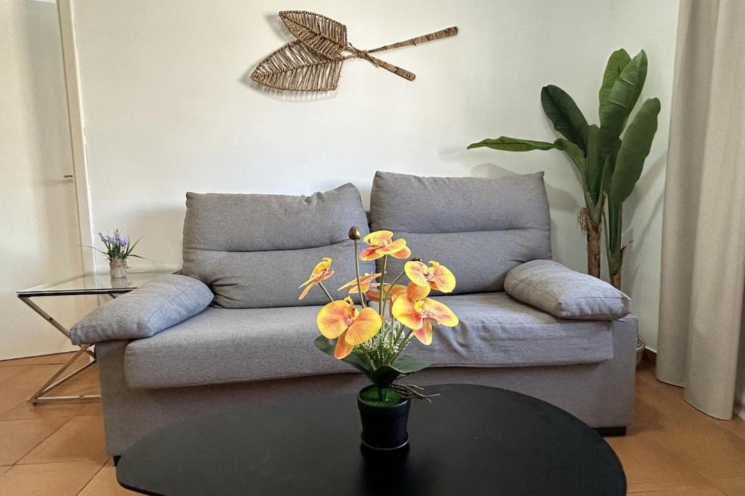 Photo of Livingroom in Alicante City Centre