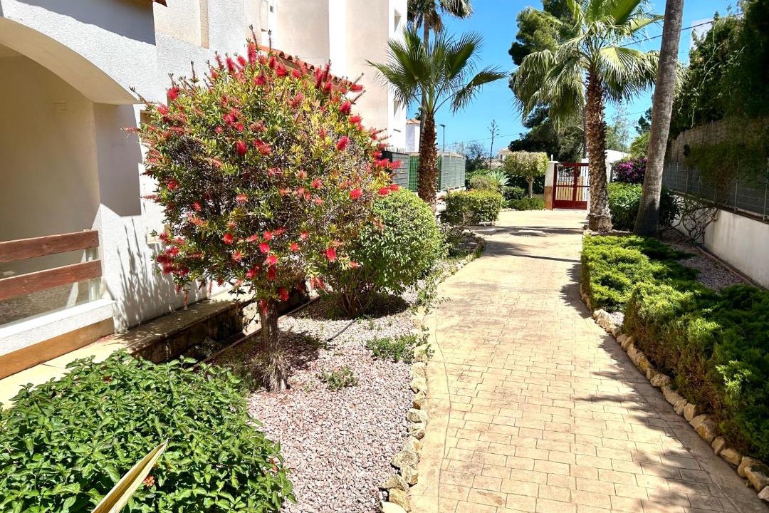 Photo of Others in El Albir