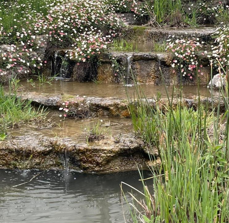 Photo of Others in Entraigues-sur-la-Sorgue