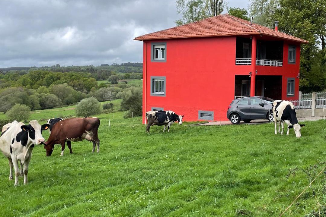 Photo of Others in Forcarei