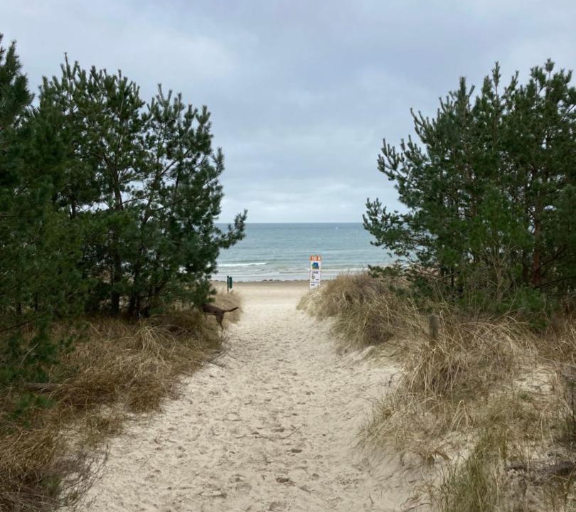 Photo of Others in Trassenheide
