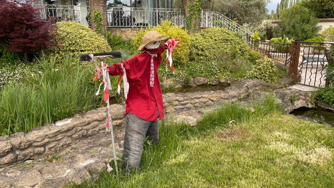 Photo of Others in Entraigues-sur-la-Sorgue