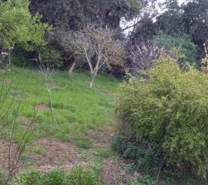 Photo of Outdoor in Ubiarco