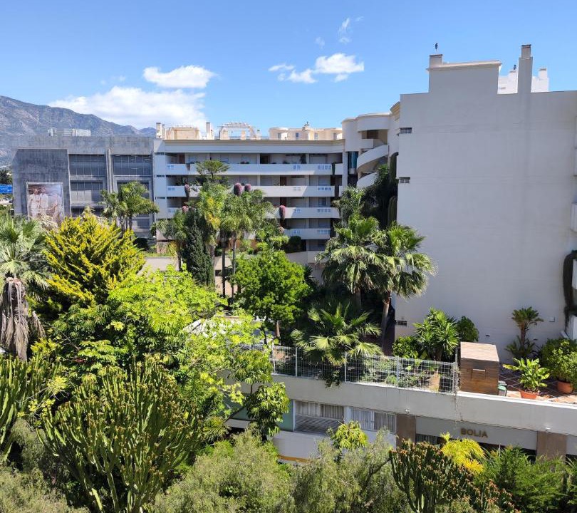 Photo of Others in Puerto Banus