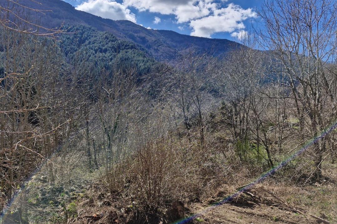 Photo of Others in Valgorge