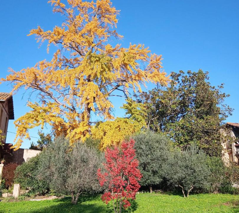 Photo of Outdoor in Remoulins