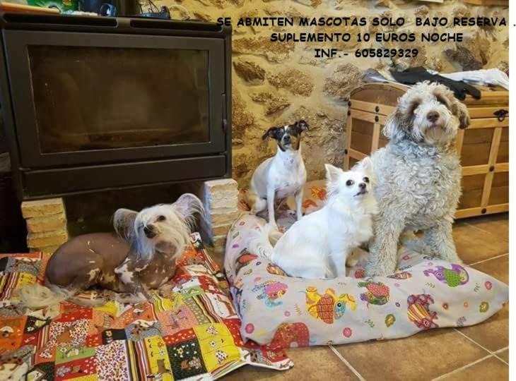 Photo of Others in Casas del Castanar
