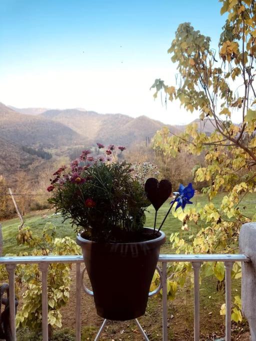 Photo of Patio Balcony in Perrozo