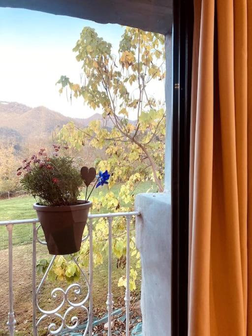 Photo of Patio Balcony in Perrozo