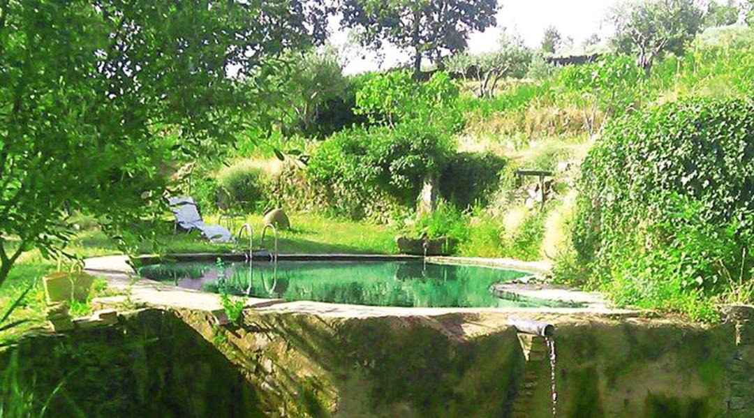 Photo of Outdoor in Acebo