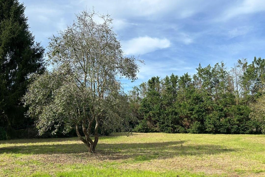 Photo of Outdoor in Entrambasaguas