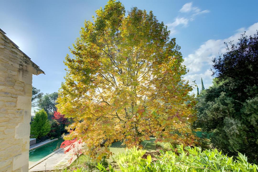Photo of Outdoor in Lambesc