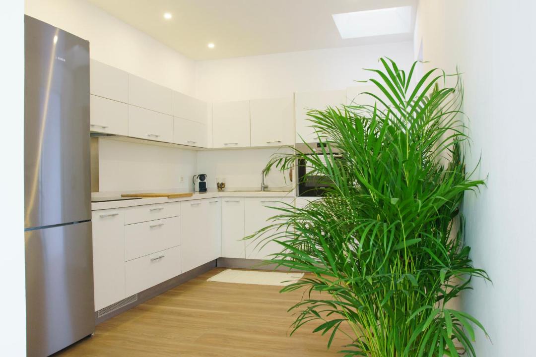 Photo of Kitchen in Santa Brigida
