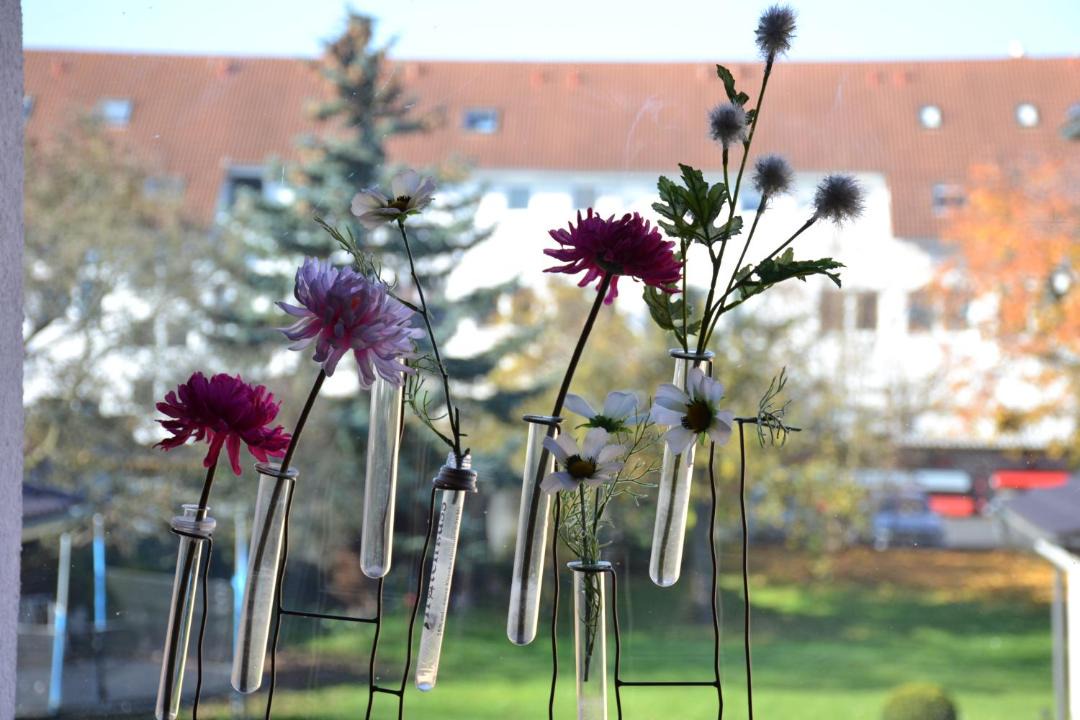 Photo of Others in Seligenstadt