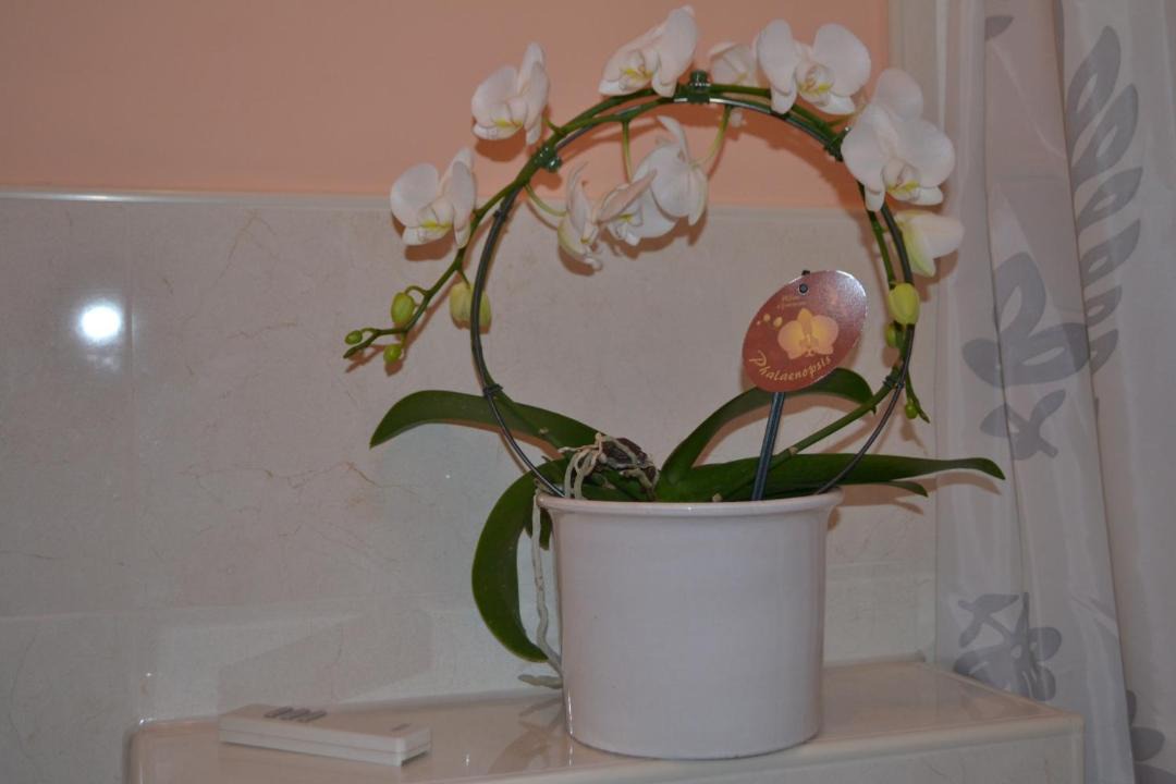 Photo of Bathroom in Seligenstadt