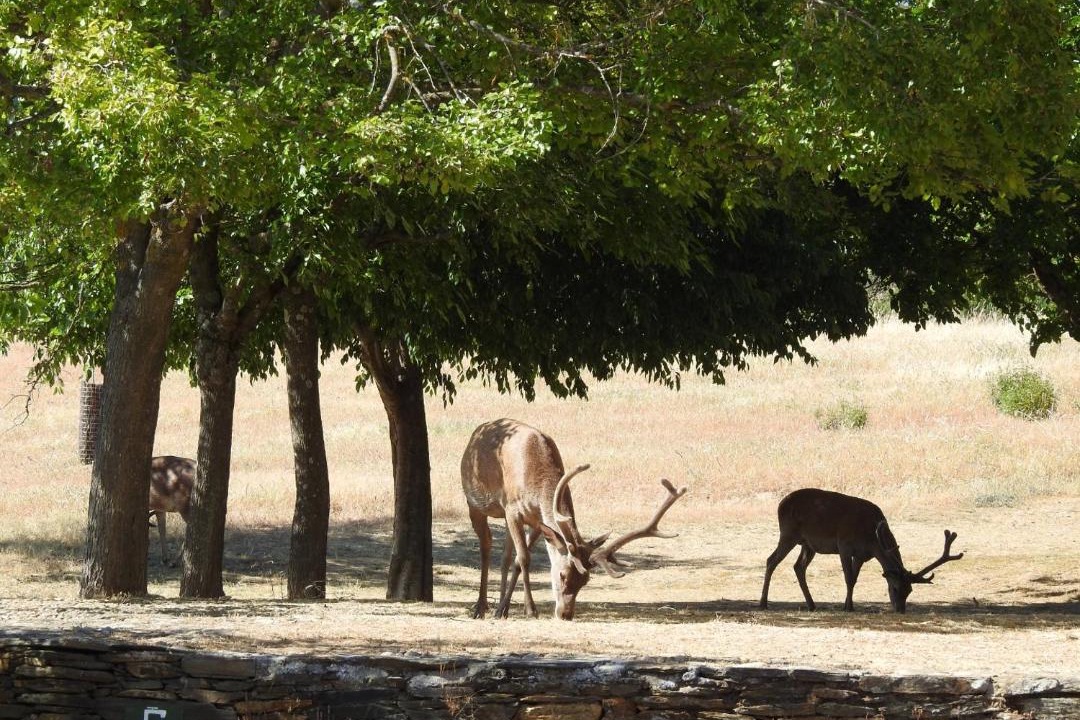 Photo of Others in Villarreal de San Carlos