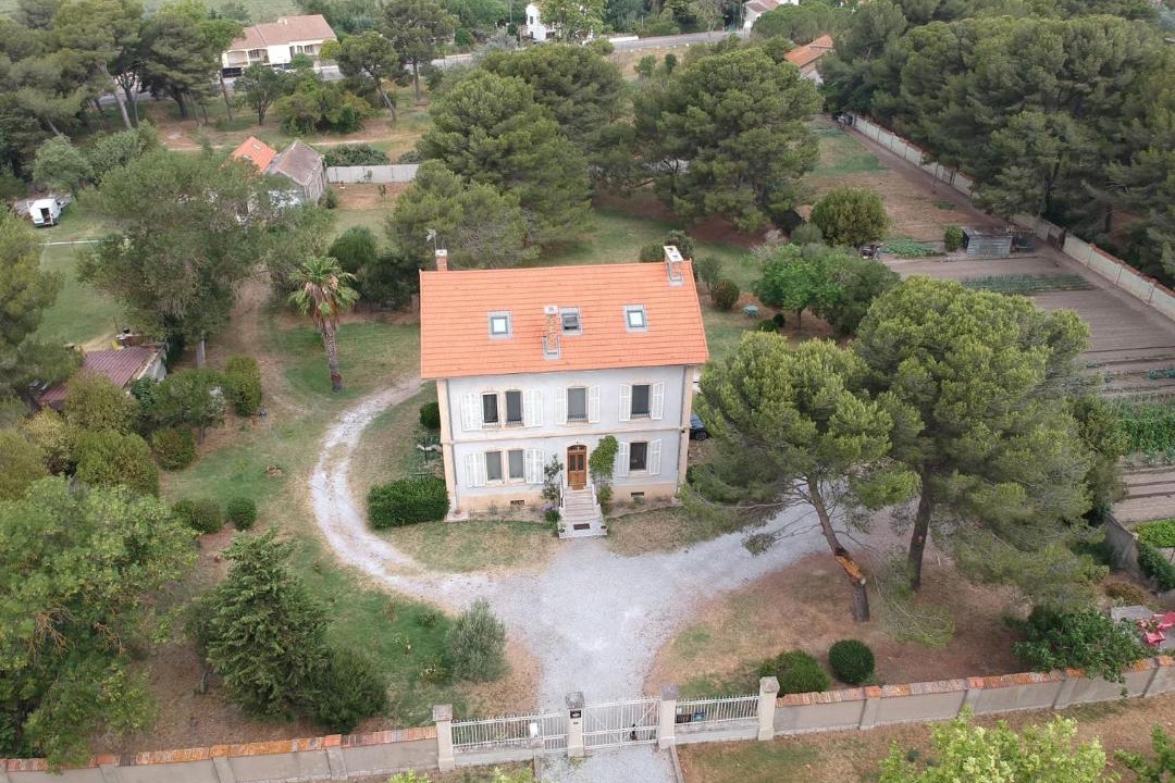Photo of Others in Salin-de-Giraud