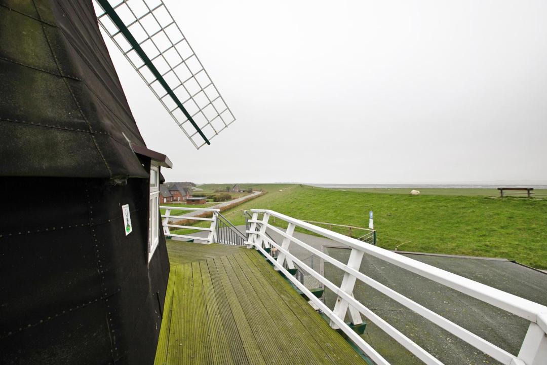Photo of Others in Pellworm