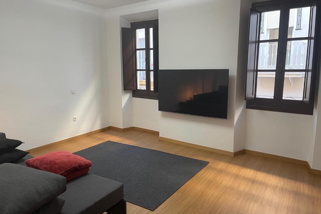 Photo of Livingroom in Triana