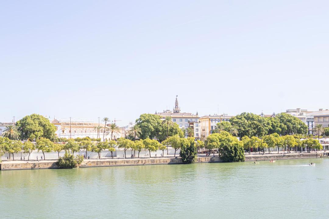 Photo of Others in Triana