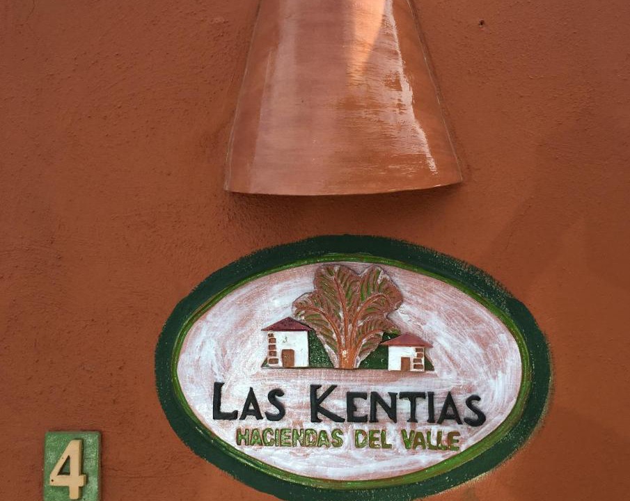 Photo of Others in San Cristobal de La Laguna