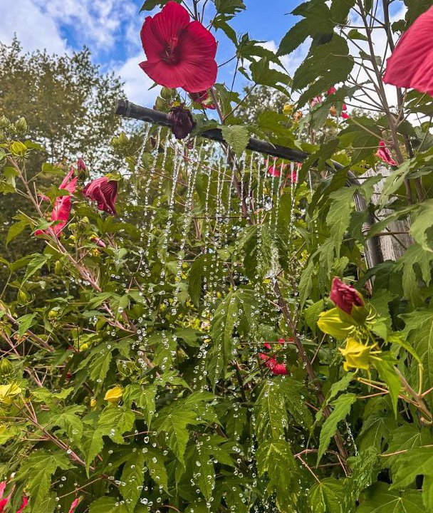 Photo of Outdoor in Le Lardin-Saint-Lazare