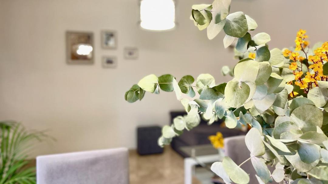 Photo of Livingroom in Distrito Sur