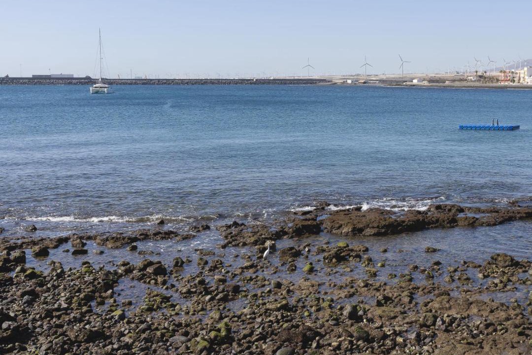Photo of Others in Playa de Arinaga