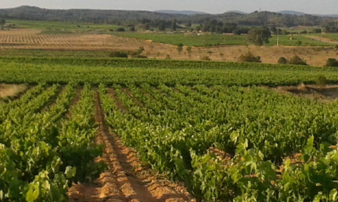 Photo of Others in Casas de Cuadra