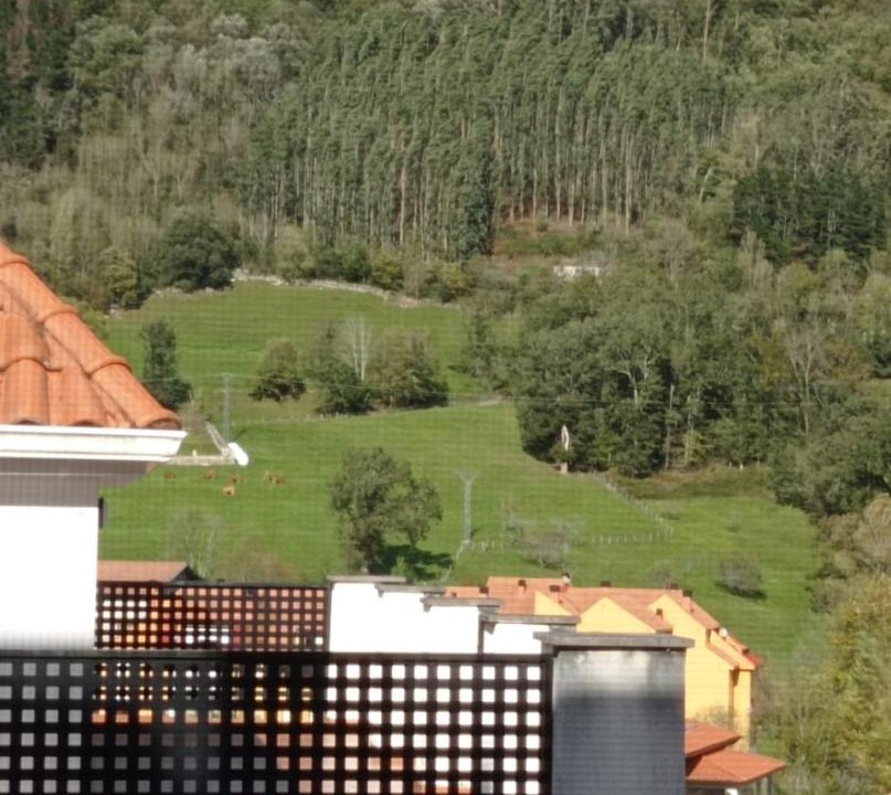 Photo of Others in Arredondo