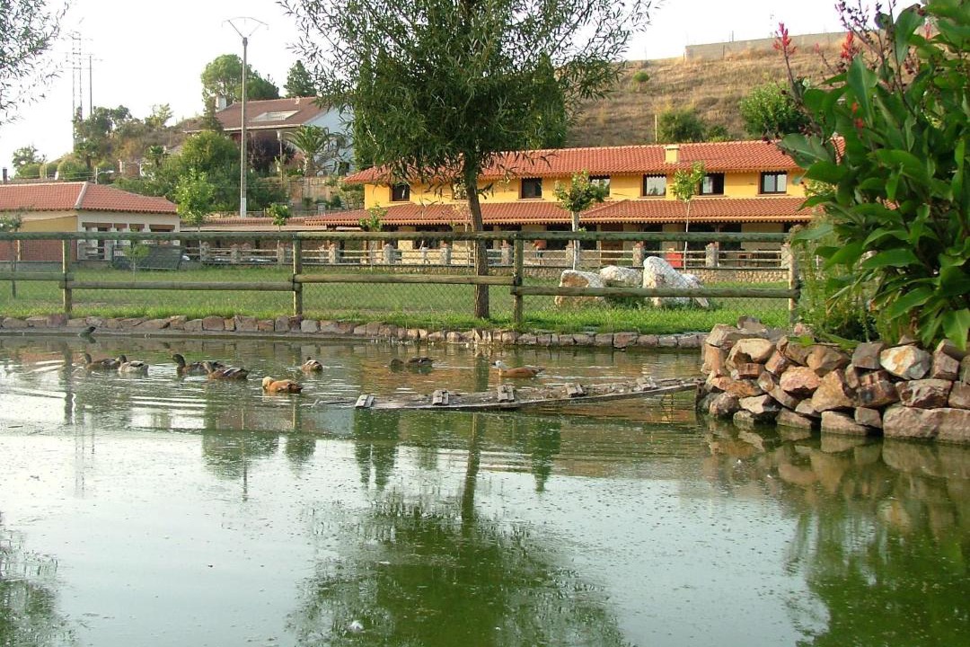 Photo of Others in Ciudad Rodrigo
